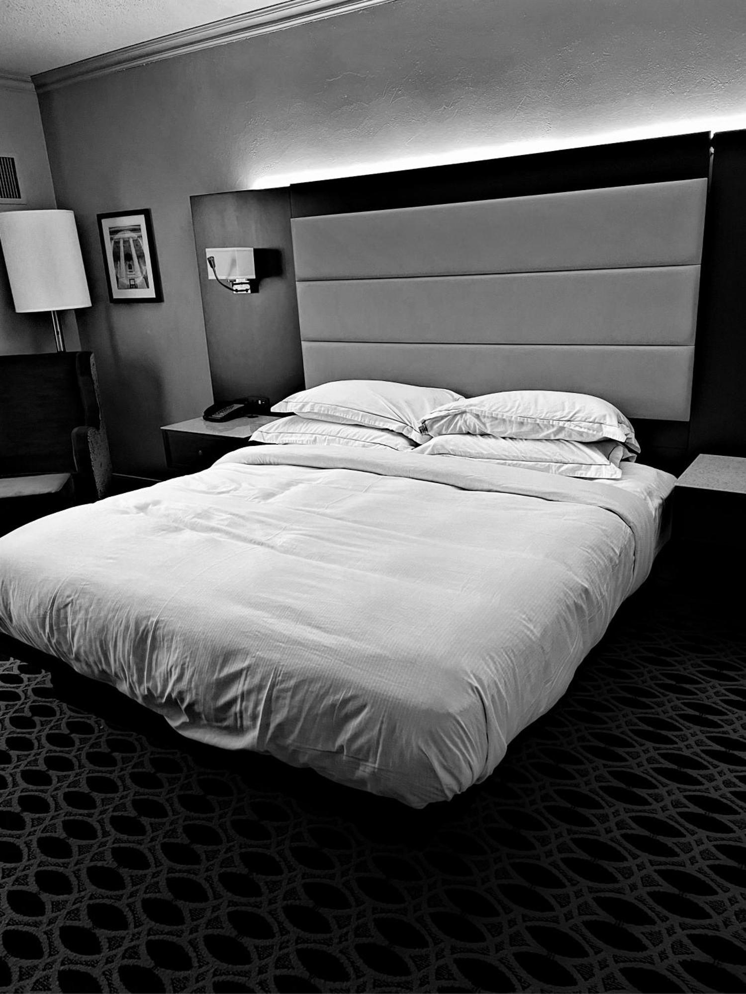 Hotel Ambience Plaza Jmd - Delhi Airport New Delhi Bagian luar foto